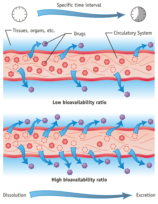 Drug Bioavailability Ratio Medical Diagram