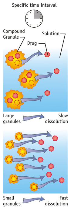 Drug Dissolution Medical Diagram