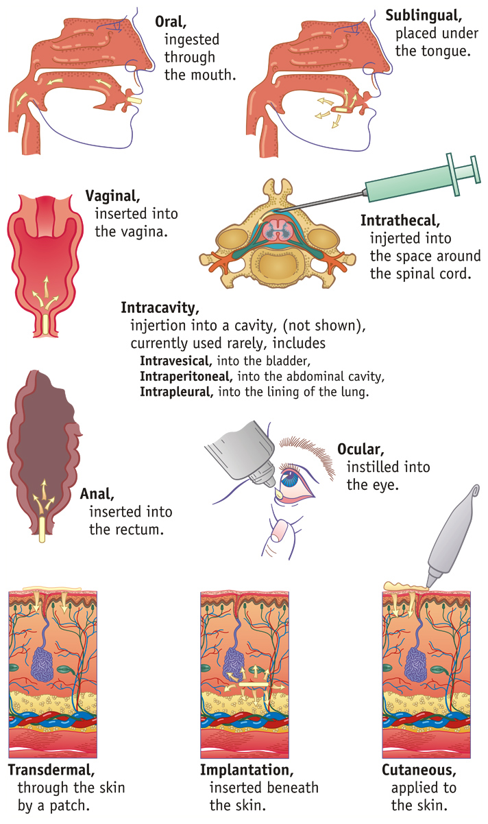 Types of Drug Administration, Page Left