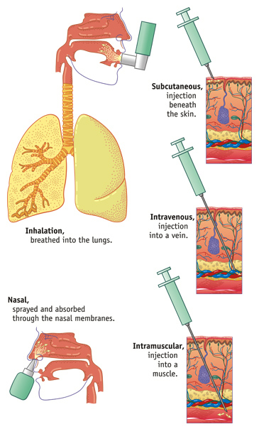 Types of Drug Administration, Page Right